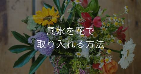 紫鳳凰風水|風水を花で取り入れる方法｜色ごとの効果や飾る場所・運気アッ 